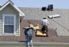 Tennysonskylights-2.jpg; ?>